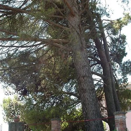 B&B Sotto I Pini 3*