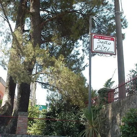 B&B Sotto I Pini